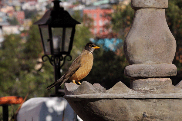 Der Brunnen ist ein schöner Platz zum Verweilen